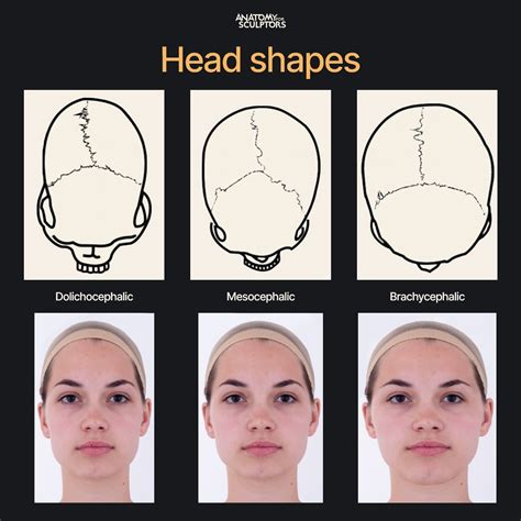 weird head shapes|different types of skull shapes.